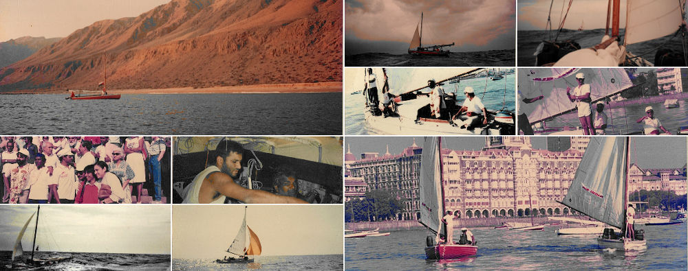 Bombay-Muscat-Seabirds