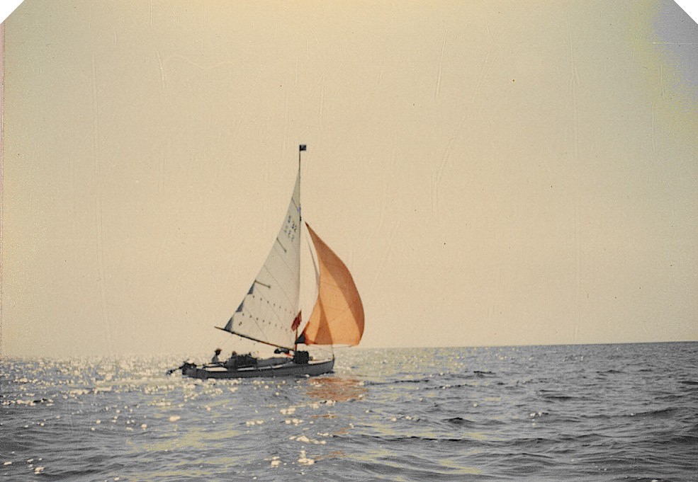 Seabird Sailing with Spinnaker